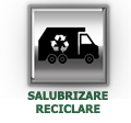 Salubrizare